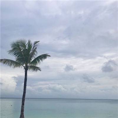 天博体育官网入口手机app下载