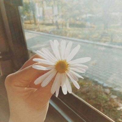 49图库一资料中心